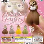 ヒメ日記 2025/12/14 21:17 投稿 きい 優しいM性感 五反田