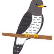 ヒメ日記 2026/01/14 20:09 投稿 きい 優しいM性感 五反田