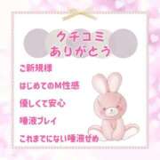 ヒメ日記 2026/01/26 12:09 投稿 きい 優しいM性感 五反田