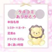 ヒメ日記 2026/03/14 13:05 投稿 きい 優しいM性感 五反田