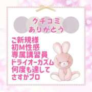 ヒメ日記 2026/03/30 19:17 投稿 きい 優しいM性感 五反田