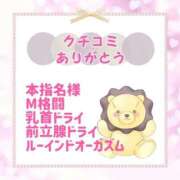 ヒメ日記 2026/04/09 12:20 投稿 きい 優しいM性感 五反田