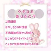 ヒメ日記 2026/07/09 13:19 投稿 きい 優しいM性感 五反田