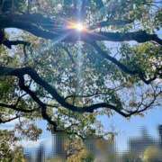 ヒメ日記 2025/04/03 16:13 投稿 ゆず とろける時間～脳バク♡エステ～