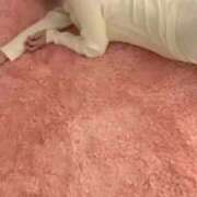 ヒメ日記 2025/04/16 06:03 投稿 ちか とろける時間～脳バク♡エステ～