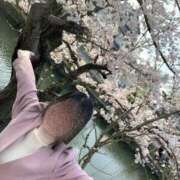 ヒメ日記 2026/04/07 17:43 投稿 ちか とろける時間～脳バク♡エステ～