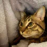 ヒメ日記 2026/02/26 15:43 投稿 なの とろける時間～脳バク♡エステ～