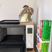 ヒメ日記 2026/10/03 09:53 投稿 なの とろける時間～脳バク♡エステ～
