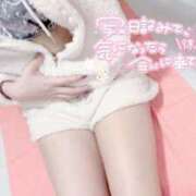 ヒメ日記 2025/11/23 12:15 投稿 あお 深海魚