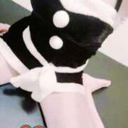 ヒメ日記 2025/12/25 11:35 投稿 あお 深海魚