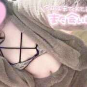 ヒメ日記 2026/02/11 23:39 投稿 あお 深海魚