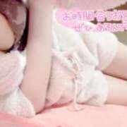 ヒメ日記 2026/02/15 11:42 投稿 あお 深海魚