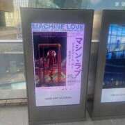 華村 美和 来週予定 横浜貴楼館