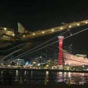 ヒメ日記 2025/01/29 19:02 投稿 華村 美和 東京貴楼館