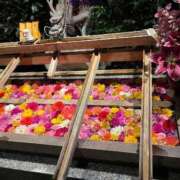 ヒメ日記 2025/02/22 21:02 投稿 華村 美和 東京貴楼館