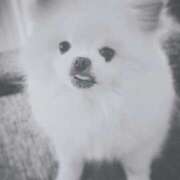 ヒメ日記 2025/01/07 07:39 投稿 月姫(かぐや) AZITO V.I.P