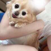 ヒメ日記 2025/05/27 20:15 投稿 月姫(かぐや) AZITO V.I.P