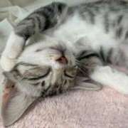 ヒメ日記 2025/11/10 20:20 投稿 ミレイ キャンディ(鹿児島)