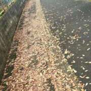 ヒメ日記 2024/12/11 12:49 投稿 みのり 佐賀人妻デリヘル 「デリ夫人」