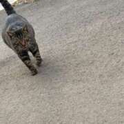 ヒメ日記 2024/12/15 21:16 投稿 みのり 佐賀人妻デリヘル 「デリ夫人」