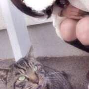 ヒメ日記 2024/12/19 01:29 投稿 みのり 佐賀人妻デリヘル 「デリ夫人」