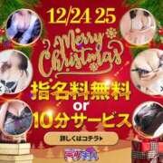 ヒメ日記 2024/12/24 11:11 投稿 みのり 佐賀人妻デリヘル 「デリ夫人」