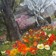 ヒメ日記 2025/03/26 16:02 投稿 みのり 佐賀人妻デリヘル 「デリ夫人」