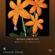 ヒメ日記 2025/04/01 13:12 投稿 みのり 佐賀人妻デリヘル 「デリ夫人」