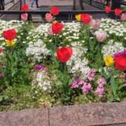 ヒメ日記 2025/04/02 11:24 投稿 みのり 佐賀人妻デリヘル 「デリ夫人」