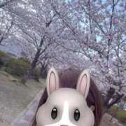 ヒメ日記 2025/04/03 14:18 投稿 みのり 佐賀人妻デリヘル 「デリ夫人」