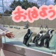 ヒメ日記 2025/04/16 06:30 投稿 みのり 佐賀人妻デリヘル 「デリ夫人」