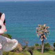 ヒメ日記 2025/04/18 09:05 投稿 みのり 佐賀人妻デリヘル 「デリ夫人」