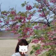 ヒメ日記 2025/04/23 12:43 投稿 みのり 佐賀人妻デリヘル 「デリ夫人」