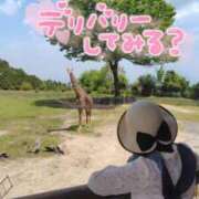 ヒメ日記 2025/05/04 12:07 投稿 みのり 佐賀人妻デリヘル 「デリ夫人」
