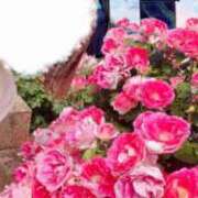 ヒメ日記 2025/05/18 12:08 投稿 みのり 佐賀人妻デリヘル 「デリ夫人」