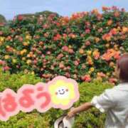 ヒメ日記 2025/05/19 07:52 投稿 みのり 佐賀人妻デリヘル 「デリ夫人」