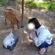 ヒメ日記 2025/05/22 18:38 投稿 みのり 佐賀人妻デリヘル 「デリ夫人」