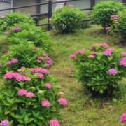 ヒメ日記 2025/06/11 21:26 投稿 みのり 佐賀人妻デリヘル 「デリ夫人」