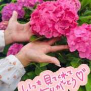 ヒメ日記 2025/06/15 09:36 投稿 みのり 佐賀人妻デリヘル 「デリ夫人」