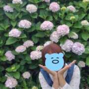 ヒメ日記 2025/06/17 10:59 投稿 みのり 佐賀人妻デリヘル 「デリ夫人」