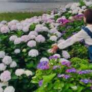 ヒメ日記 2025/06/22 15:25 投稿 みのり 佐賀人妻デリヘル 「デリ夫人」