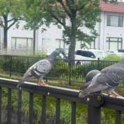 ヒメ日記 2025/06/24 10:29 投稿 みのり 佐賀人妻デリヘル 「デリ夫人」