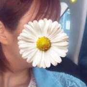 ヒメ日記 2025/06/29 13:56 投稿 みのり 佐賀人妻デリヘル 「デリ夫人」