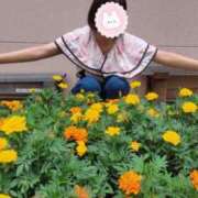 ヒメ日記 2025/07/17 06:30 投稿 みのり 佐賀人妻デリヘル 「デリ夫人」