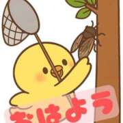 ヒメ日記 2025/07/19 08:39 投稿 みのり 佐賀人妻デリヘル 「デリ夫人」