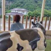 ヒメ日記 2025/07/23 06:30 投稿 みのり 佐賀人妻デリヘル 「デリ夫人」