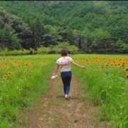 ヒメ日記 2025/07/25 06:15 投稿 みのり 佐賀人妻デリヘル 「デリ夫人」