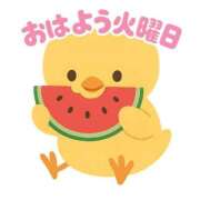 ヒメ日記 2025/07/29 06:00 投稿 みのり 佐賀人妻デリヘル 「デリ夫人」