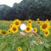 ヒメ日記 2025/08/05 11:15 投稿 みのり 佐賀人妻デリヘル 「デリ夫人」