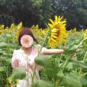 ヒメ日記 2025/08/13 07:59 投稿 みのり 佐賀人妻デリヘル 「デリ夫人」